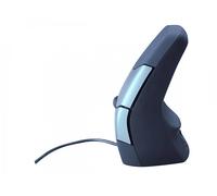 MOUSE BAKKERELKHUIZEN DXT 2 Precision, Collegamento USB Typ-A, Ingresso: Otticamente a diodi laser, Scrolling a Rotella, Risoluzione max 2000 dpi, forma ergonomica, Nero, Grigio
