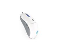 Mouse Endorfy GEM USB Type-C 8000 DPI Ambidestro Bianco RGB 6 Pulsanti