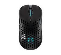 MOUSE GAMING WIRELESS ENDORFY LIX, Collegamento RF Wireless + USB Type-C, Ingresso: Otticamente a mezzo LED, Scrolling a Rotella, Risoluzione max 16000 dpi, Nero