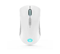 Lenovo GY51C96033, Mouse Legion M600 - Mouse wireless per gaming, colore: Grigio