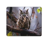 Mouse Mat Owl On A Branch Soffice Tappetino Scrivania Durevole Desk Mat per Ufficio Pc Mac 10X12In