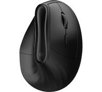 Mouse ottico wireless/Bluetooth ergonomico definitivo Ewent Ew3208 nero