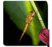 Mouse Pad, A Little Golden Dragonfly In The Backyard Tappeto Mouse Base In Gomma Tappetino Mouse Personalizzato Tappetini Per Il Mouse Da Gioco Per Ufficio Computer 25X30Cm