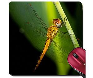 Mouse Pad, A Little Golden Dragonfly in The Backyard Tappeto Mouse Base in Gomma Tappetino Mouse Personalizzato Tappetini per Il Mouse da Gioco per Ufficio Computer 25X30Cm