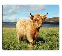 Mouse Pad, Close Up of Scottish Highland Cow in Field Mousepad Pratica Tappetino per Il Mouse da Gioco Antisfilacciamento Tampone per Mouse per Ufficio Computer 25X30Cm