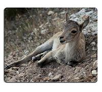 mouse pad del gioco mouse pad wollaton parco cervi di gomma naturale materiale pn00x5652