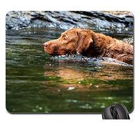 Mouse Pad, Dog Chesapeake bay Retriever Pets Tappetino per Il Mouse da Gioco Liscia Gaming Pad Personalizzato Tappetino Mouse Gaming per Ufficio Casa 25X30Cm