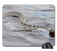 Mouse Pad, Eastern Diamondback Rattlesnake Poisonous Tappetino Mouse Pad Liscia Tappetino da Gaming Confortevole Gaming Tappetino Mouse per Gaming Ufficio 25X30Cm
