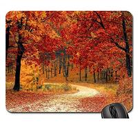 Mouse Pad, Fall Autumn Red Season Woods Nature Leaves Tree Tappetino per Mouse Antipolvere Tappetino per Il Mouse da Gioco Antiscivolo Tampone per Mouse per Gaming Ufficio 25X30Cm