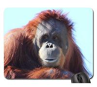 Mouse Pad, Orangutan Monkey Nature Orang Utan Primate Monkey Tappetino Mouse Bordi Cuciti Tampone per Mouse Pratica Gaming Mousepad per Notebook Gaming 25X30Cm