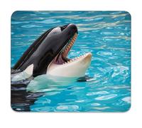 Mouse Pad Orca Killer Whale Mouse Pad Marine Tappetino Scrivania 10x12in