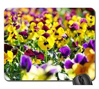 Mouse Pad, Pansy Flower Flower Bloom Yellow Violet Viola Tappetino Mouse Antipolvere Tappetino per Mouse Personalizzato Tampone per Mouse per Pc Casa 25X30Cm