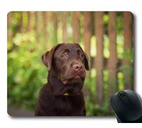 Mouse pad per gioco, cani cuccioli animali Mouse pad, Animali Gattino Cane Golden Retriever Puppy Mousepad Rubber YT 005