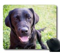 Mouse Pad per Gioco, Cani Cuccioli Animali Mouse Pad, Animali Gattino Cane Golden Retriever Puppy Mousepad Rubber YT 041