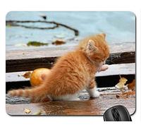 Mouse pad per gioco Mouse mouse per mouse da gioco Kitten sotto la pioggia ~ per Mouse Mouse Pad, Tappetino per mouse (Mouse pad per gatti)