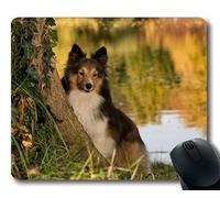Mouse pad personalizzato, Mouse pad personalizzato Cane divertente, Cane Sheltie Tree Pond Close Up, cani Tappetino per mouse da gioco