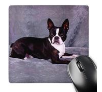 Mouse Pad Terrier Confortevole Mouse Mat Waterproof Desk Mat per Ufficio Computer Laptop 25X30Cm