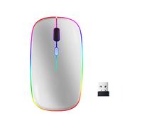 Mouse per computer wireless con LED RGB doppia modalità Bluetooth/Wifi Silver