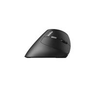 Rapoo EV250 mouse Mano destra RF Wireless Ottico 1600 DPI