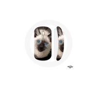 Mouse senza fili gatta siamese bianca e nera con occhi blu