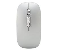 Mouse Wireless, 2.4G Bluetooth Dual Mode Silent Low Decibel Mouse, 800 1200 1600 DPI Type C Mouse Ricaricabile con Luce Colorata, per Windows PC Laptop, per Telefono (Grigio Argento)