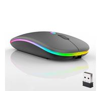 Mouse wireless Bluetooth, LED Dual Mode ricaricabile, silenzioso, sottile, portatile, (BT5.2 + ricevitore USB), doppia modalità, per laptop, computer desktop, iPad, tablet, telefono, TV (grigio)