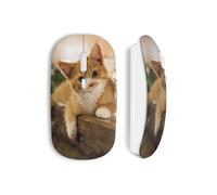 Mouse Wireless Cat Minion