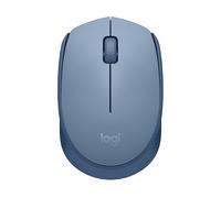 Logitech 910-006866 M171 Mouse Wireless Blu