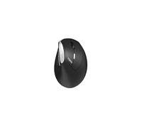 Rapoo EV250 mouse Mano destra RF Wireless Ottico 1600 DPI
