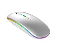 Mouse wireless ricaricabile illuminato silenzioso 2.4G mouse wireless EOq723 (argento, taglia unica)