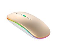 Mouse wireless ricaricabile illuminato silenzioso 2.4G mouse wireless EOq723 (G, taglia unica)