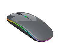 Mouse wireless ricaricabile illuminato silenzioso 2.4G mouse wireless EOq723 (grigio, taglia unica)