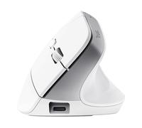 MOUSE WIRELESS TRUST BAYO+ ERG WRLS MOUSE, Collegamento Wireless, Ingresso: Otticamente a diodi laser, Scrolling 2 direzioni, Risoluzione max 2400 dpi, forma ergonomica, White