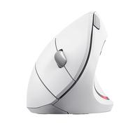 MOUSE WIRELESS TRUST VERTO WRLS ERGO MOUSE, Collegamento Wireless, Ingresso: Otticamente a mezzo LED, Scrolling 2 direzioni, Risoluzione max 2400 dpi, forma ergonomica, White