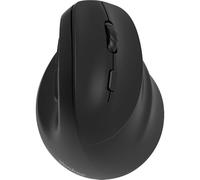Yenkee Mouse YMS 5060R ergonomico verticale senza fili