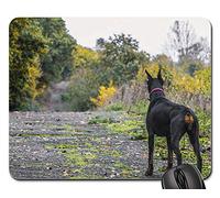Mousepad, Doberman Pinscher Dog Pet Field Meadow Autumn Tappetino da Gaming Bordi Cuciti Tappetino Mouse Pad Antipolvere Tappetino Mouse per Gaming Ufficio 25X30Cm