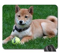 Mousepad, Dog Remote Access Shiba Inu Puppy Play Ball Tappetino Mouse Pad Antipolvere Tappeto Mouse Personalizzato Tappetino per Mouse per Gaming Ufficio 25X30Cm