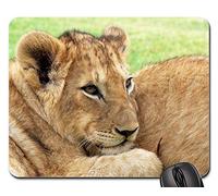 Mousepad, Lion Lion Cub Cub Big Cat Cuddled Wildlife Africa Tappetini per Il Mouse Liscia Tappetino per Mouse Ergonomico Tappetino da Gaming per Computer Laptop 25X30Cm