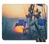 Mousepad, Meadow Grasses Sunset Nature Blade Of Grass Grass Tappetino Mouse Pad Pratica Tappetini Mouse Antiscivolo Tampone Per Mouse Per Computer Ufficio 25X30Cm