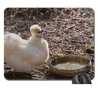Mousepad, Nature Bird Hen Backyard White Farm Laying Hens Gaming Tappetino Mouse Bordi Cuciti Tampone per Mouse Antiscivolo Tappetino per Il Mouse da Gioco per Pc Laptop 25X30Cm