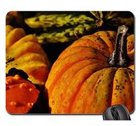 Mousepad, Pumpkins Decorative Squashes Nature Autumn0 Tappetino Mouse Liscia Tappetini per Il Mouse da Gioco Pratica Gaming Pad per Gaming Ufficio 25X30Cm