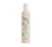 Echos Mousse Extraforce Extra forte – Styling liscio e voluminoso – 400 ml