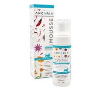 Mousse per Shampoo Secco Ancaria 150 ml