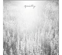 Mouth of the Architech Quietly (CD) Album