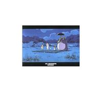 Movic My Neighbor Totoro 646893 - Raccoglitore trasparente formato A4