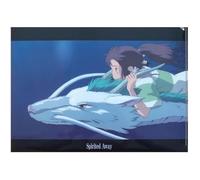 Movic Spirited Away 647050 - Raccoglitore trasparente formato A4, collezione Haku