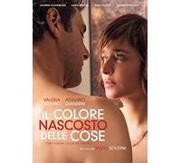 Movie - Colore Nascosto Delle Cose, Il [Import]