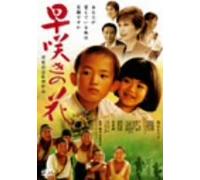 Movie/Film [Japanese] - Hayazaki No Hana [06/J]