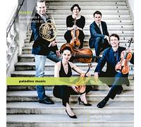 Mozart/ Purgina - Divertimento K 563 / Horn Quintet K 407