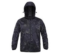 Mozart & The Dolomites